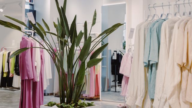 Pastel garments displayed on clothing rails alongside a potted plant in a fashion boutique.